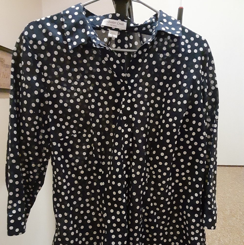 Coldwater Creek No Iron Polka Dot button down